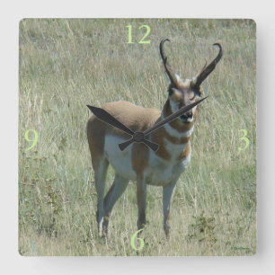 A13 Pronghorn Antelope Buck Vierkante Klok
