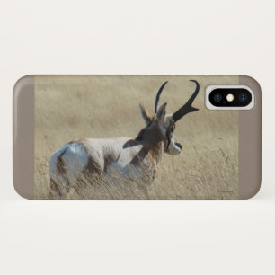 A14 Gaffelantilope Zonneschijn Bok Case-Mate iPhone Case
