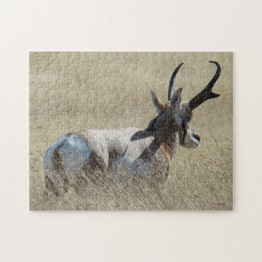 A14 Gaffelantilope Zonneschijn Bok Legpuzzel (Horizontaal)
