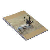 A14 Gaffelantilope Zonneschijn Bok Notitieboek (Rechterzijde)