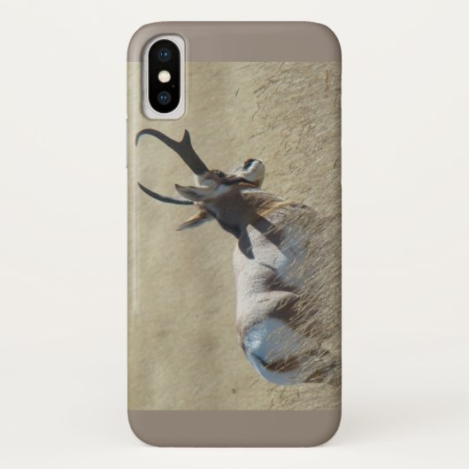 A14 Pronghorn Antelope Sunshine Buck Case-Mate iPhone Case (Achterkant)
