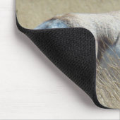 A14 Pronghorn Antelope Sunshine Buck Muismat (Hoek)