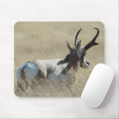 A14 Pronghorn Antelope Sunshine Buck Muismat (Met muis)