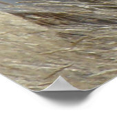 A14 Pronghorn Antelope Sunshine Buck Poster (Hoek)