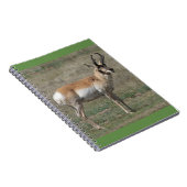 A15 Gaffelantelope Onbeleefde Bok Notitieboek (Rechterzijde)