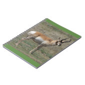 A15 Gaffelantelope Onbeleefde Bok Notitieboek (Linkerzijde)