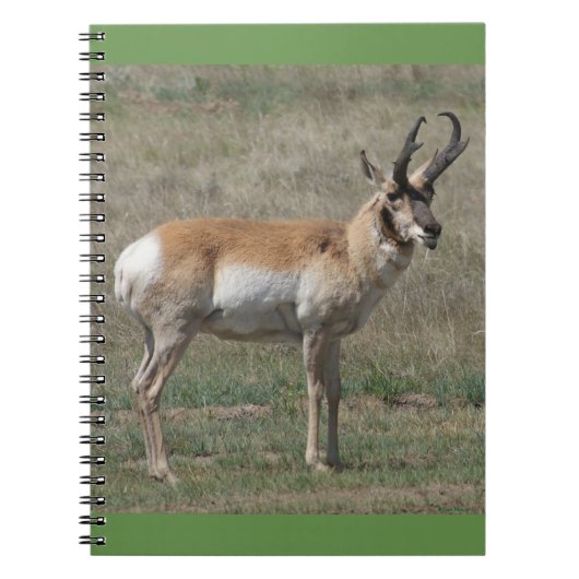 A15 Gaffelantelope Onbeleefde Bok Notitieboek (Voorkant)