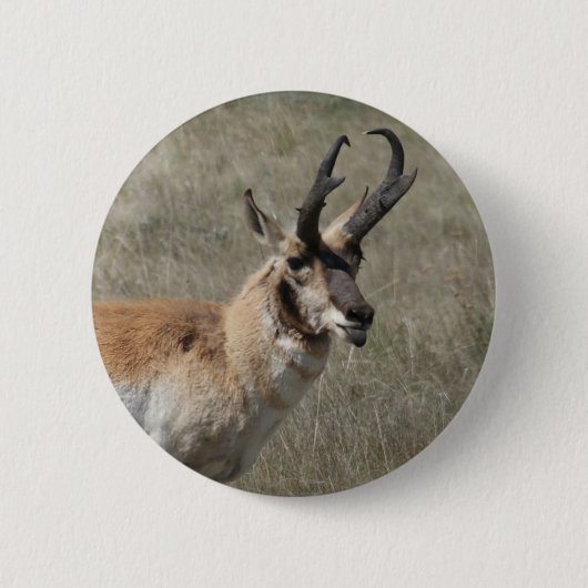 A15 Gaffelbok Onbeleefde Bok Ronde Button 5,7 Cm (Voorkant)