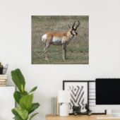 A15 Gaffelbok Ruwe Bok Poster (Thuiskantoor)