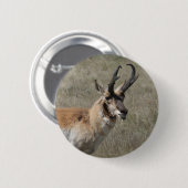 A15 Pronghorn Antelope Rude Buck Ronde Button 5,7 Cm (Voorkant /achterkant)