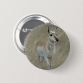 A17 Gaffelantilope Ronde Button 5,7 Cm (Voorkant /achterkant)