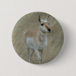 A17 Pronghorn Antelope Ronde Button 5,7 Cm