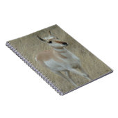 A17 Young Pronghorn Antelope Notitieboek (Rechterzijde)