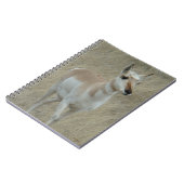 A17 Young Pronghorn Antelope Notitieboek (Linkerzijde)
