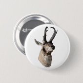 A18 Gaffelantilope Kop Ronde Button 5,7 Cm (Voorkant /achterkant)