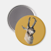 A18 Pronghorn Antelope Buck Head Shot Magneet (Voorkant / Achterkant)