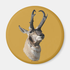 A18 Pronghorn Antelope Buck Head Shot Magneet