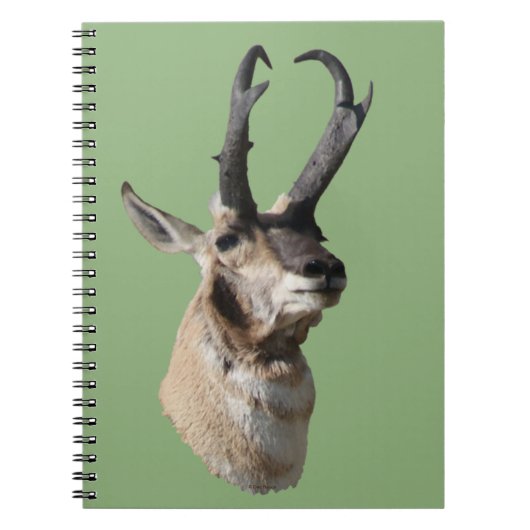 A18 Pronghorn Antelope Buck Head Shot Notitieboek (Voorkant)