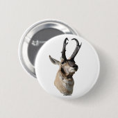 A18 Pronghorn Antelope Head Ronde Button 5,7 Cm (Voorkant /achterkant)