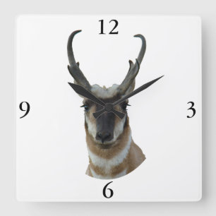 A19 Gaffelantilope Donkere Gezicht Bok Kop Schot Vierkante Klok