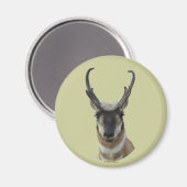 A19 Pronghorn Antelope Dark Face Buck Head Magneet (Voorkant / Achterkant)