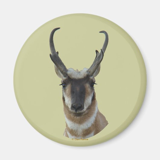A19 Pronghorn Antelope Dark Face Buck Head Magneet (Voorkant)