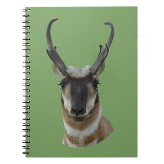 A19 Pronghorn Antelope Dark Face Buck Head Notitieboek (Voorkant)