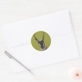 A19 Pronghorn Antelope Dark Face Buck Head Ronde Sticker (Envelop)