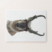 A19 Pronghorn Antelope Head Legpuzzel (Horizontaal)