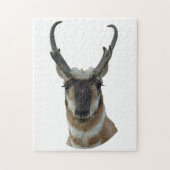 A19 Pronghorn Antelope Head Legpuzzel (Verticaal)