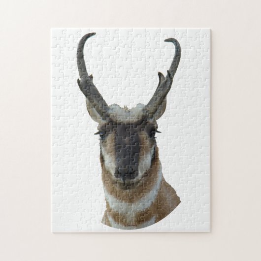 A19 Pronghorn Antelope Head Legpuzzel (Verticaal)