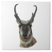 A19 Pronghorn Antelope Head Shot Tegeltje (Voorkant)