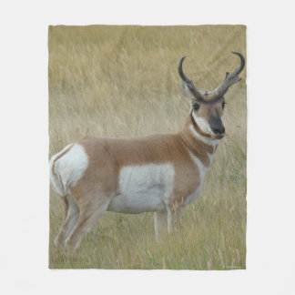 A1 Gaffelantilope Grote Bok Fleece Deken
