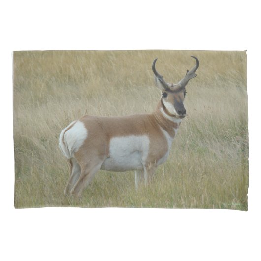 A1 Gaffelantilope Grote Bok Kussensloop (Voorkant)