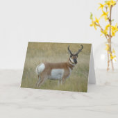 A1 Gaffelbok Ram Kaart (Gele Bloem)