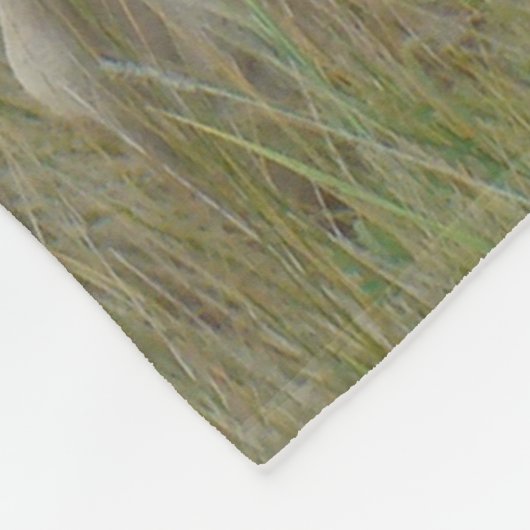 A1 Pronghorn Antelope Big Buck Fleece Deken (Hoek)