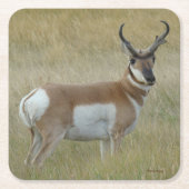 A1 Pronghorn Antelope Big Buck Kartonnen Onderzetters (Voorkant)