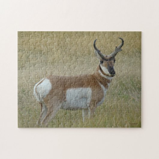 A1 Pronghorn Antelope Big Buck Legpuzzel (Horizontaal)