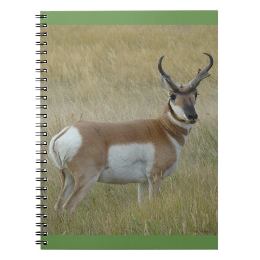 A1 Pronghorn Antelope Big Buck Notitieboek (Voorkant)