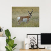 A1 Pronghorn Antelope Big Buck Poster (Thuiskantoor)