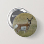 A1 Pronghorn Antelope Ronde Button 5,7 Cm (Voorkant /achterkant)