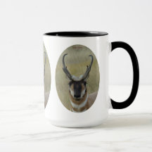 A20 Pronghorn Antelope Buck Black Face Head Shot