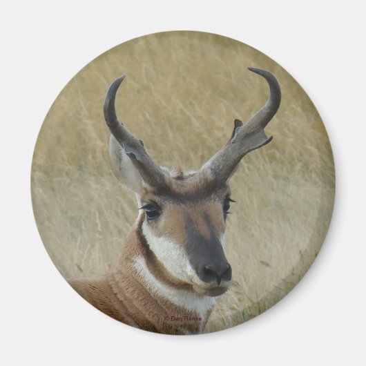 A21 Gaffelbok hertenkopschot Magneet (Voorkant)