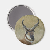 A21 Pronghorn Antelope Buck Head Shot Magneet (Voorkant / Achterkant)