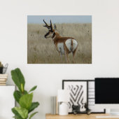 A22 Gaffelantilope Grote Bok Poster (Thuiskantoor)