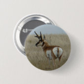 A22 Gaffelantilope Ronde Button 5,7 Cm (Voorkant /achterkant)