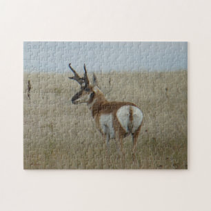 A22 Gaffelbok hertengewei Legpuzzel
