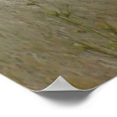 A22 Pronghorn Antelope Big Buck Poster (Hoek)