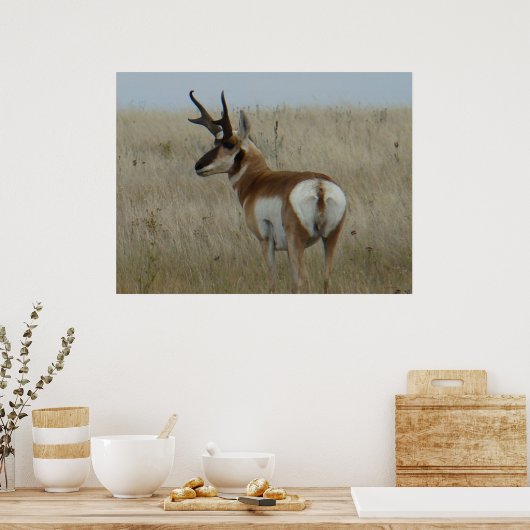 A22 Pronghorn Antelope Big Buck Poster (Keuken)