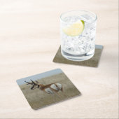 A22 Pronghorn Antelope Buck Kartonnen Onderzetters (Insitu)